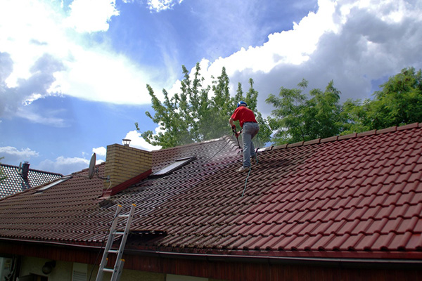 Roof and Siding Cleaning